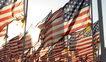 2017 Healing Field