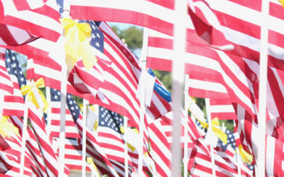 2010 Healing Field
