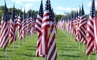 2011 Healing Field